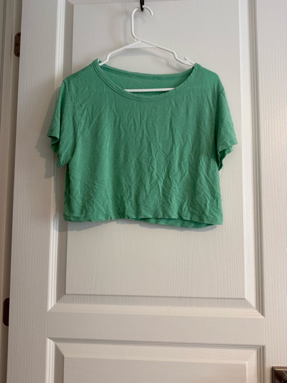 American Eagle Outfitters Light Green Cropped Tee